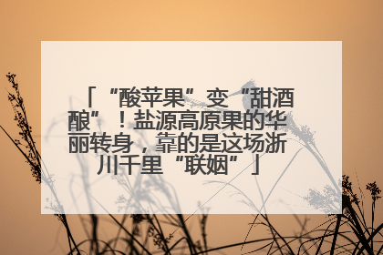 “酸苹果”变“甜酒酿”！盐源高原果的华丽转身，靠的是这场浙川千里“联姻”