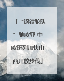 “钢铁驼队”驰欧亚 中欧班列加快山西开放步伐