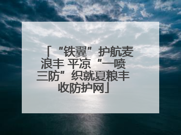 “铁翼”护航麦浪丰 平凉“一喷三防”织就夏粮丰收防护网