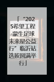 “2025希望工程·蒙牛足球未来星公益行”临沂站选拔圆满举行