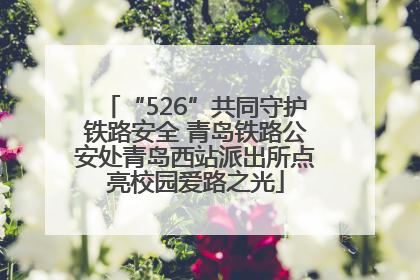 “526”共同守护铁路安全 青岛铁路公安处青岛西站派出所点亮校园爱路之光