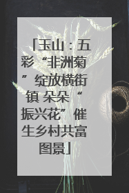 玉山：五彩“非洲菊”绽放横街镇 朵朵“振兴花”催生乡村共富图景