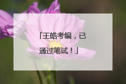王皓考编，已通过笔试！