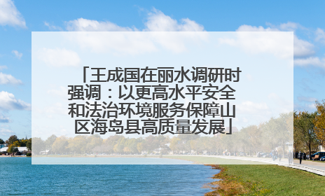 王成国在丽水调研时强调：以更高水平安全和法治环境服务保障山区海岛县高质量发展