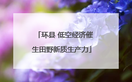 环县 低空经济催生田野新质生产力