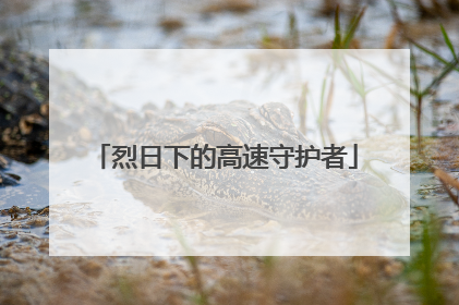 烈日下的高速守护者