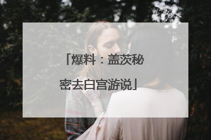 爆料：盖茨秘密去白宫游说
