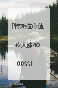 特斯拉市值一夜大涨4000亿