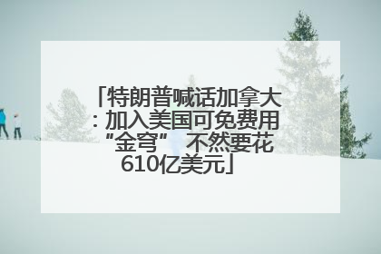 特朗普喊话加拿大：加入美国可免费用“金穹” 不然要花610亿美元
