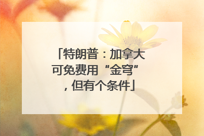 特朗普：加拿大可免费用“金穹”，但有个条件