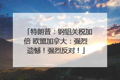 特朗普：钢铝关税加倍 欧盟加拿大：强烈遗憾！强烈反对！