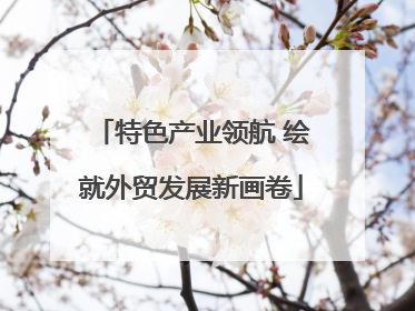 特色产业领航 绘就外贸发展新画卷