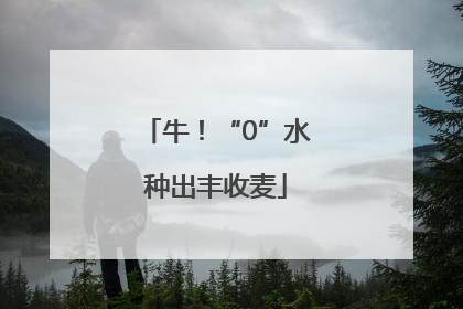 牛！“0”水种出丰收麦