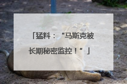 猛料：“马斯克被长期秘密监控！”