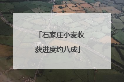 石家庄小麦收获进度约八成