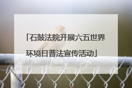 石鼓法院开展六五世界环境日普法宣传活动