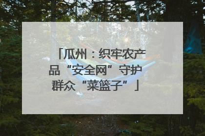 瓜州：织牢农产品“安全网”守护群众“菜篮子”
