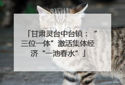 甘肃灵台中台镇：“三位一体”激活集体经济“一池春水”