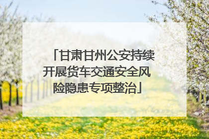甘肃甘州公安持续开展货车交通安全风险隐患专项整治