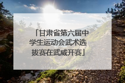 甘肃省第六届中学生运动会武术选拔赛在武威开赛