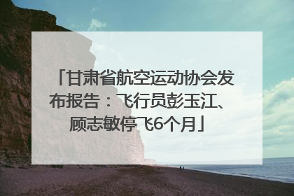 甘肃省航空运动协会发布报告：飞行员彭玉江、顾志敏停飞6个月