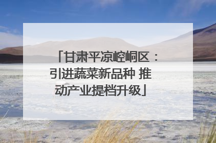 甘肃平凉崆峒区：引进蔬菜新品种 推动产业提档升级