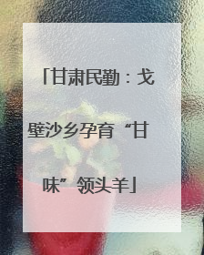 甘肃民勤：戈壁沙乡孕育“甘味”领头羊