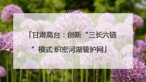 甘肃高台：创新“三长六链”模式 织密河湖管护网