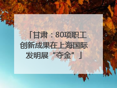 甘肃：80项职工创新成果在上海国际发明展“夺金”
