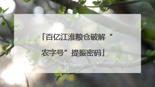 百亿江淮粮仓破解“农字号”提振密码