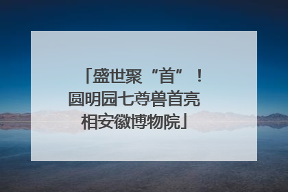 盛世聚“首”！圆明园七尊兽首亮相安徽博物院
