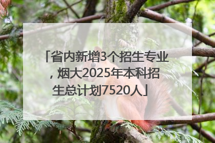 省内新增3个招生专业，烟大2025年本科招生总计划7520人