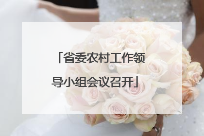 省委农村工作领导小组会议召开