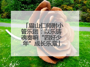 眉山仁师附小管乐团：以乐铸魂奏响“四好少年”成长乐章