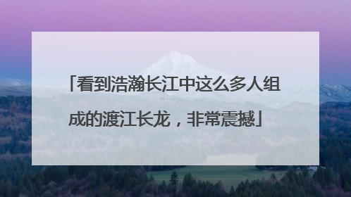 看到浩瀚长江中这么多人组成的渡江长龙，非常震撼
