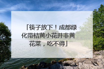 筷子放下！成都绿化带桔黄小花并非黄花菜，吃不得