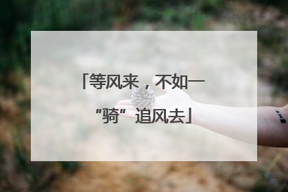 等风来，不如一“骑”追风去