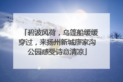 碧波风荷，乌篷船缓缓穿过，来扬州新城廖家沟公园感受诗意清凉