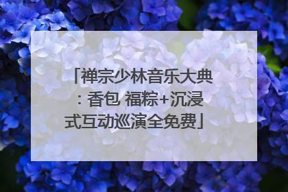 禅宗少林音乐大典：香包 福粽+沉浸式互动巡演全免费