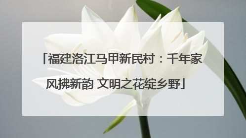 福建洛江马甲新民村：千年家风拂新韵 文明之花绽乡野