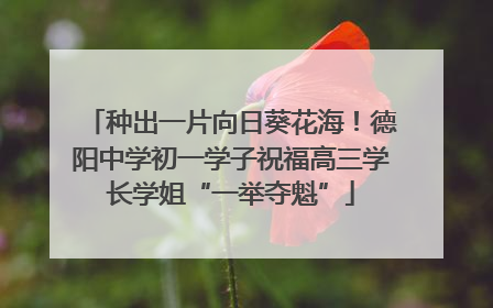 种出一片向日葵花海！德阳中学初一学子祝福高三学长学姐“一举夺魁”