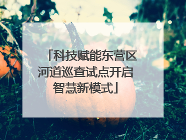科技赋能东营区河道巡查试点开启智慧新模式