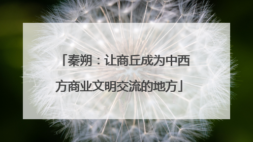 秦朔：让商丘成为中西方商业文明交流的地方