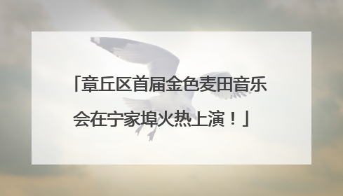 章丘区首届金色麦田音乐会在宁家埠火热上演！
