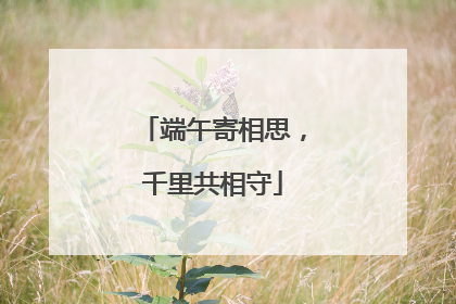 端午寄相思，千里共相守