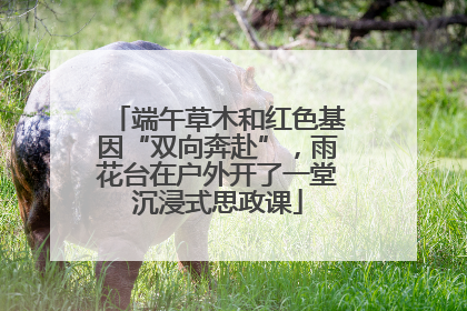 端午草木和红色基因“双向奔赴”，雨花台在户外开了一堂沉浸式思政课