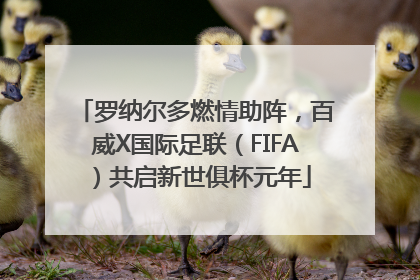 罗纳尔多燃情助阵，百威X国际足联（FIFA）共启新世俱杯元年