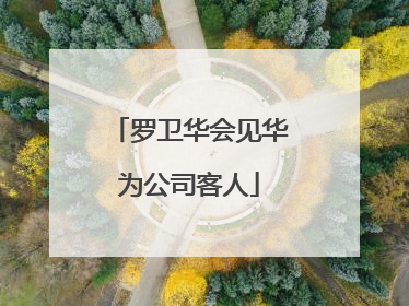 罗卫华会见华为公司客人