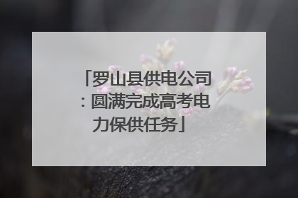 罗山县供电公司：圆满完成高考电力保供任务