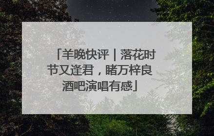 羊晚快评｜落花时节又逢君，睹万梓良酒吧演唱有感